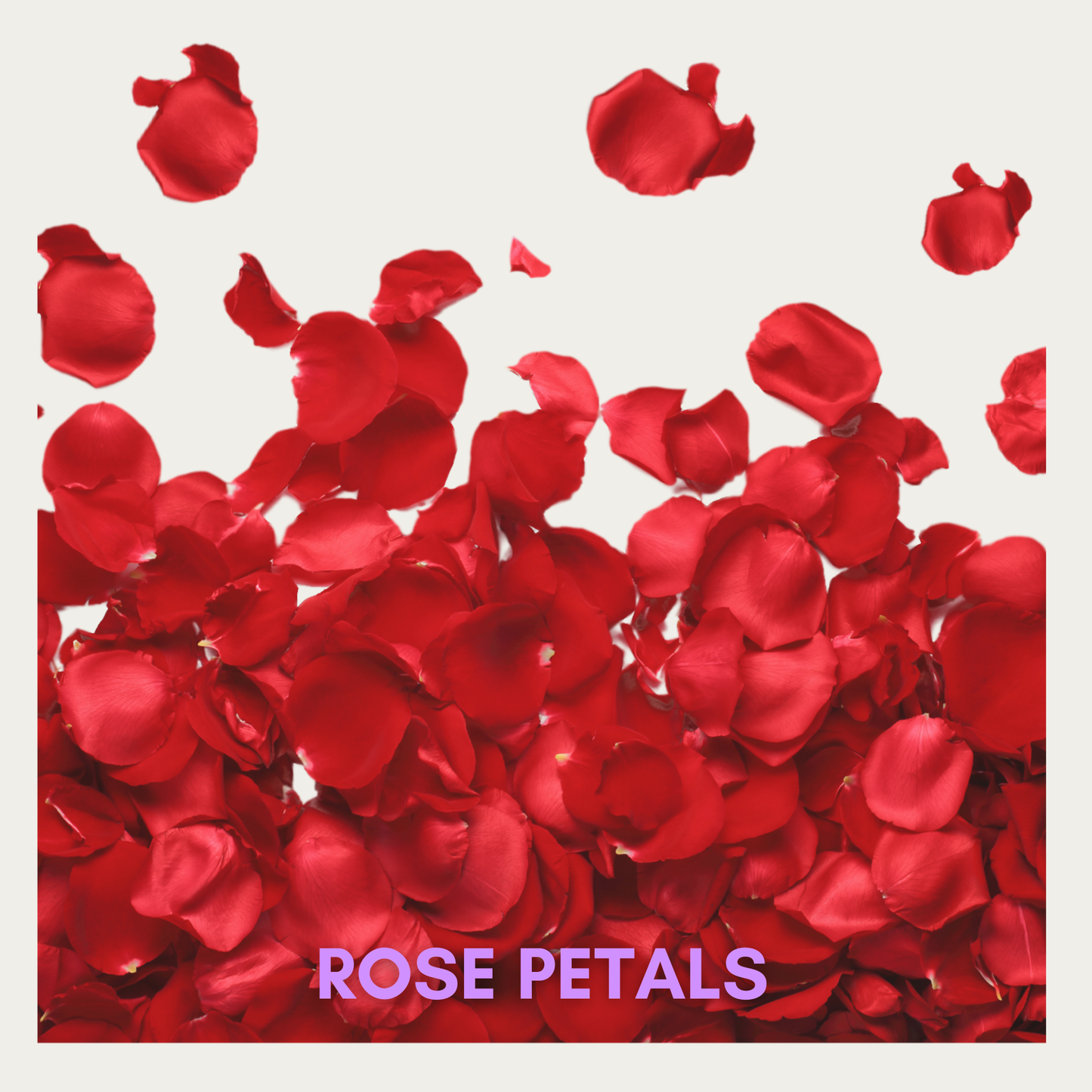 Rose Petals- Fragrance Oil