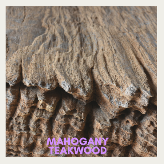 Teakwood + Mahogany - Fragrance Oil