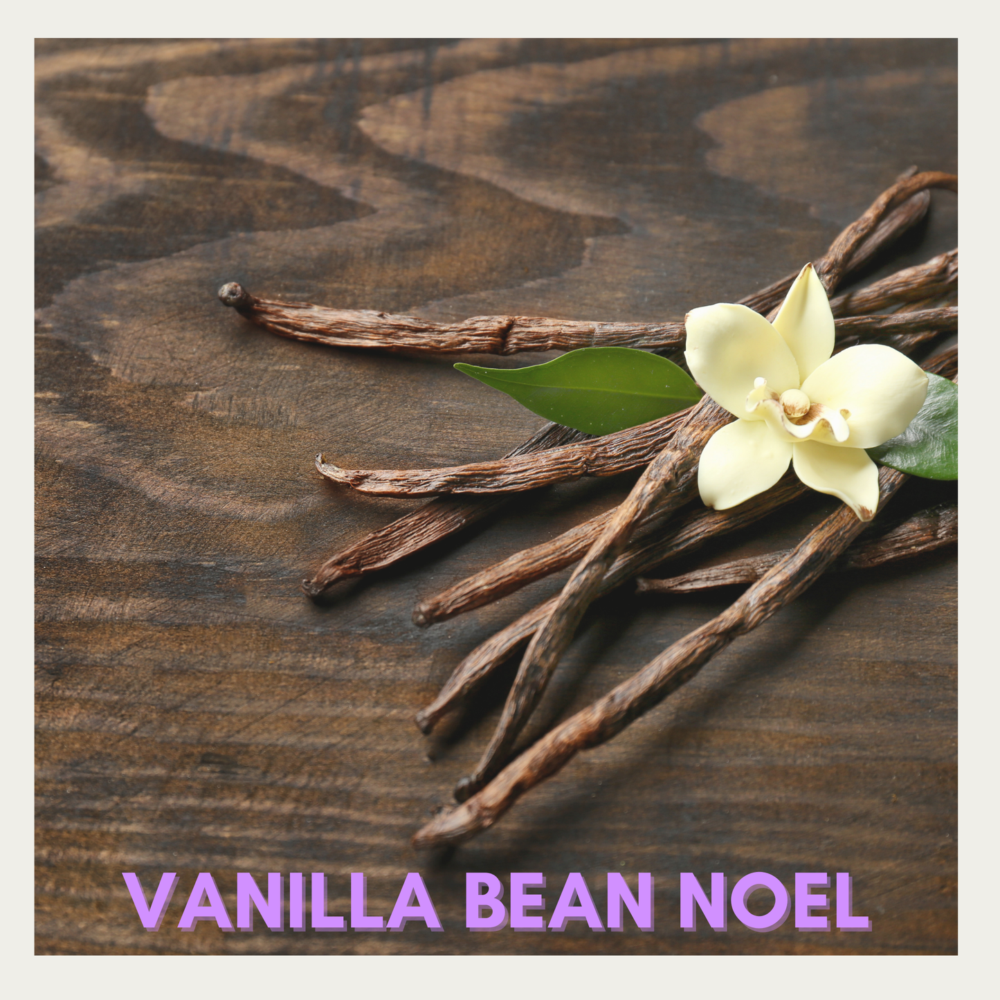 Vanilla Bean Noel Type- Fragrance Oil