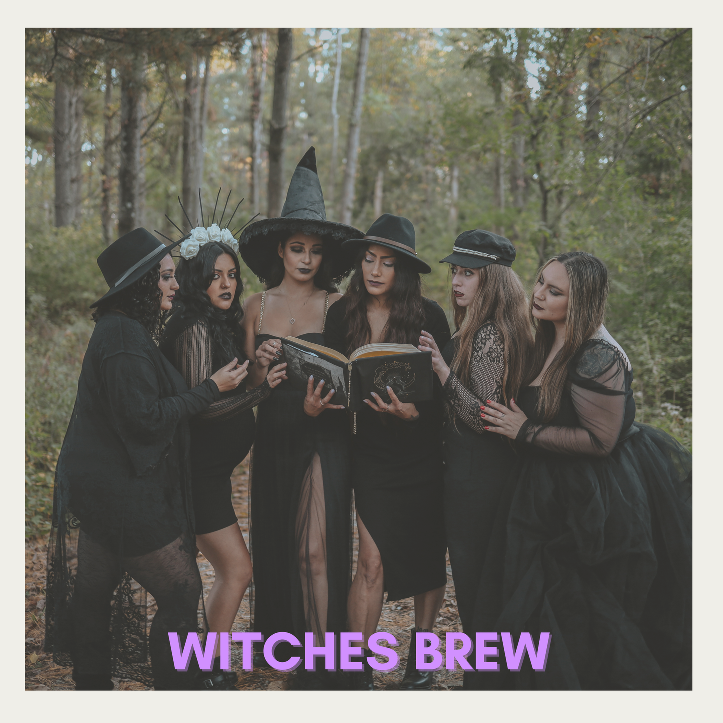 Witches Brew- Fragrance Oil