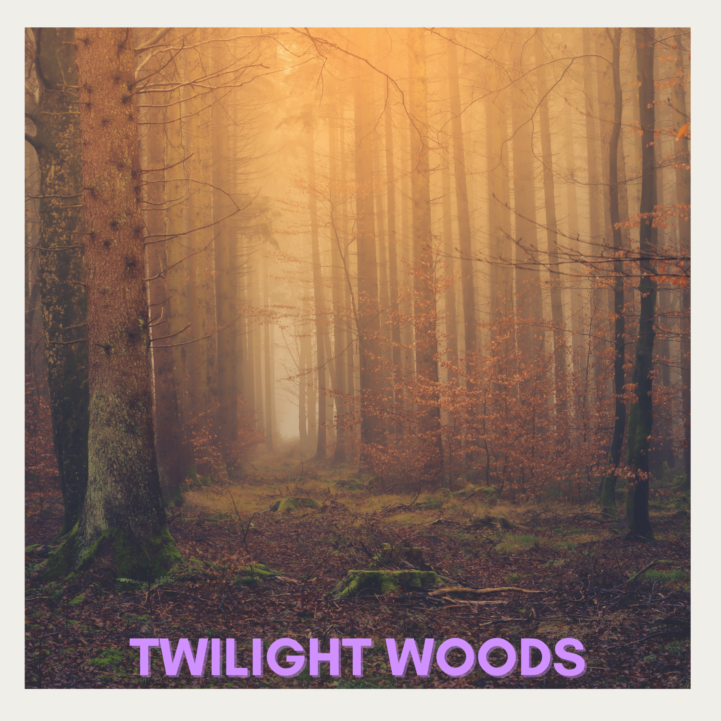 Twilight Wood Type- Fragrance Oil