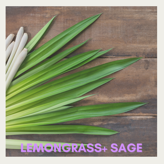 Lemongrass + Sage Fragrance Oil